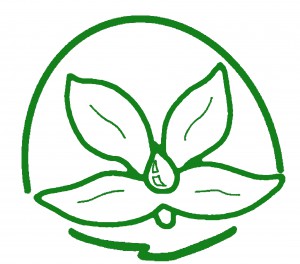 Asociación Naam Sangat - Loto verde